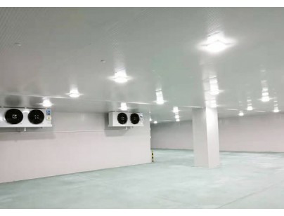 廣東完美400㎡日用品恒溫庫、冷藏庫（防爆冷庫）工程建造方案