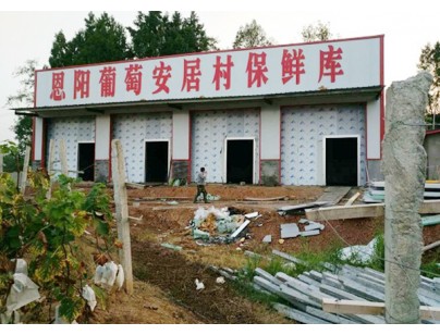 巴中恩陽區(qū)何家壩種植合作社200噸葡萄氣調(diào)保鮮庫(kù)工程建造方案