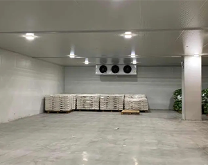 馬鈴薯(土豆)冷庫(kù)如何大量貯藏