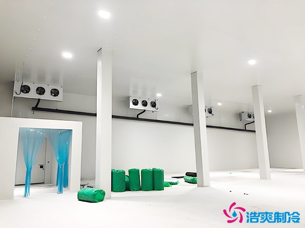 建造萬(wàn)噸級(jí)大型冷庫(kù)造價(jià)大概多少錢？萬(wàn)噸冷庫(kù)造價(jià)影響因素