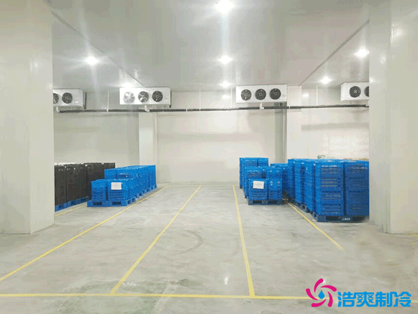 建造萬(wàn)噸級(jí)大型冷庫(kù)造價(jià)大概多少錢？萬(wàn)噸冷庫(kù)造價(jià)影響因素