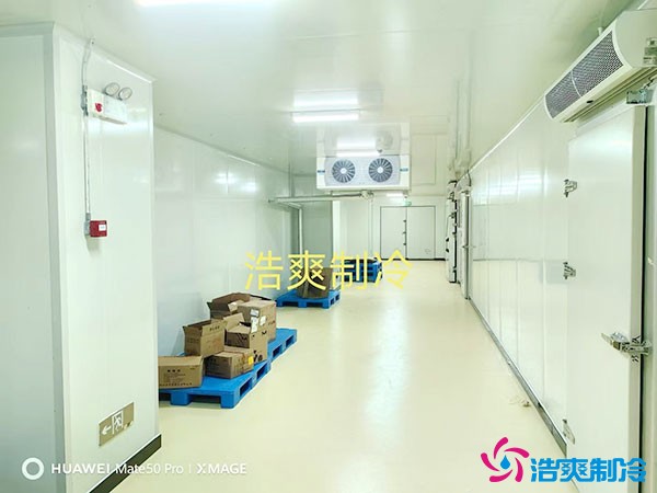 儲(chǔ)存疫苗的企業(yè)獨(dú)立冷庫(kù)有幾個(gè)？生物疫苗冷庫(kù)造價(jià)