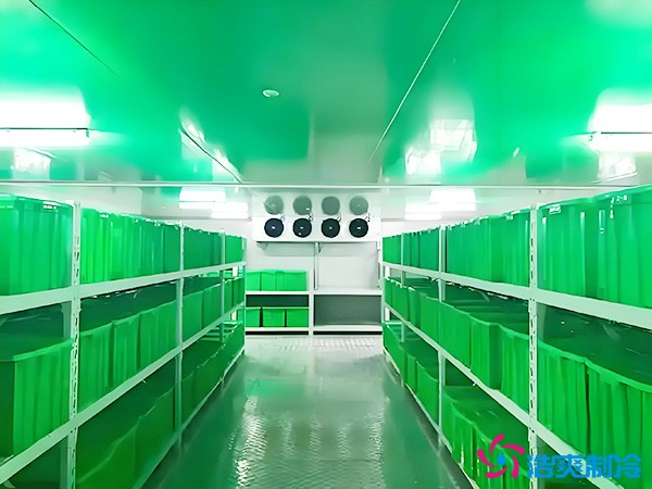 藥品批發(fā)企業(yè)冷藏庫平方面積要求多少？1000平藥企冷庫造價(jià)