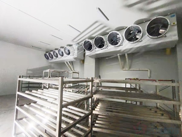 建造1000立方冷凍庫配多大壓縮機(jī)？造價(jià)預(yù)算多少錢？