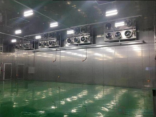 化學(xué)防爆冷庫(kù)建造廠家